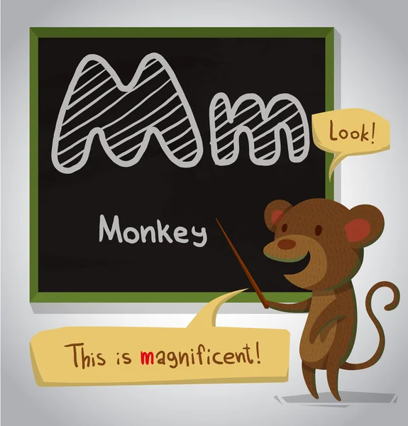 Cartoon alphabet Monkey — Stock Vector