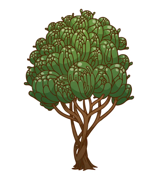Красивое зелёное дерево — стоковый вектор