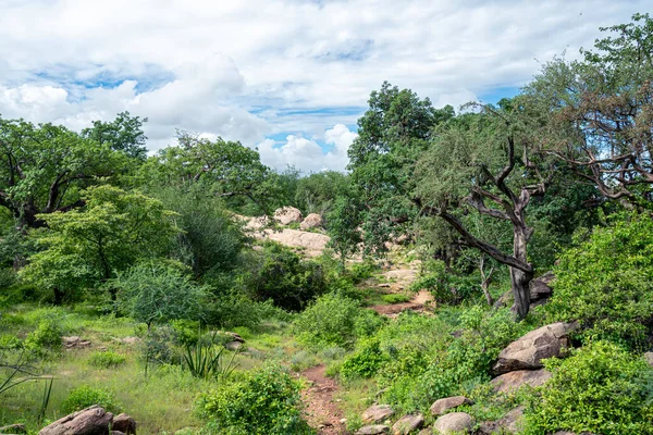 African panorama in Eyasi Lake