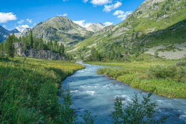 Dağ nehrinin fırtınalı suları. Altai bölgesi. Rusya Sibirya