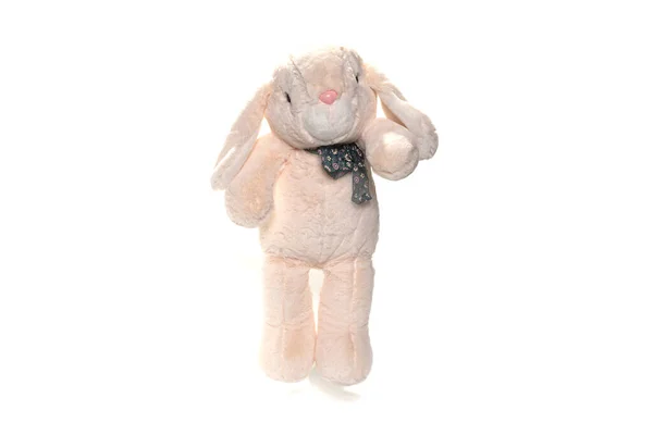 Peluche lapin jouet isolé sur fond blanc — Photo