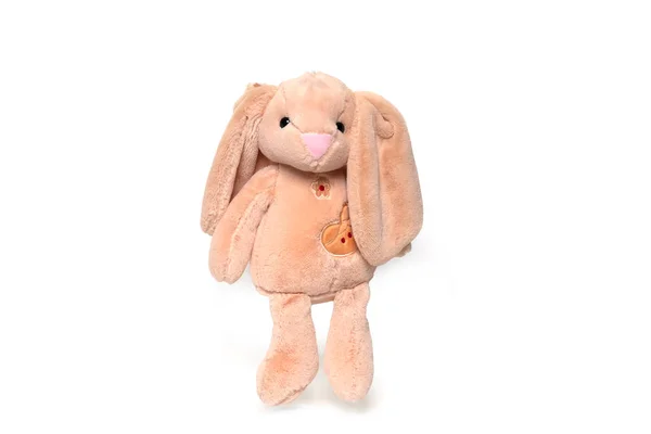 Peluche lapin jouet isolé sur fond blanc — Photo