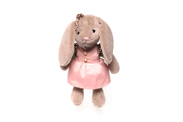 Plněný králík hračka izolované na bílém pozadí — Stock fotografie