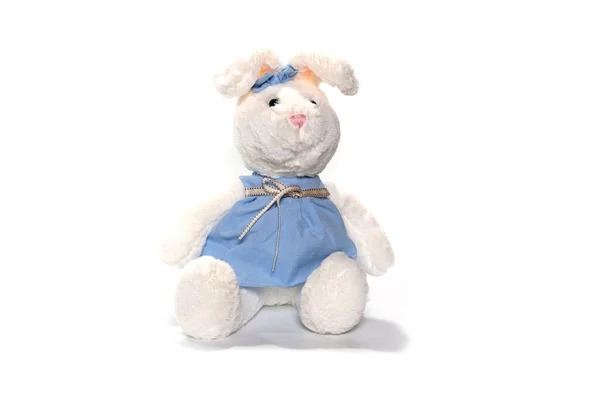 Peluche lapin jouet isolé sur fond blanc — Photo