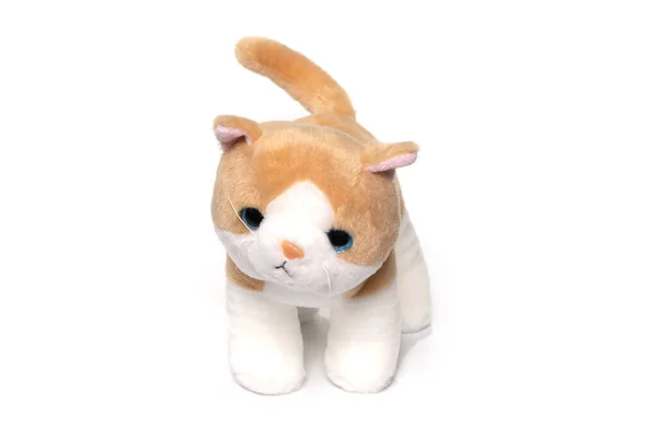 Legrační hračka kočka izolované na bílém — Stock fotografie