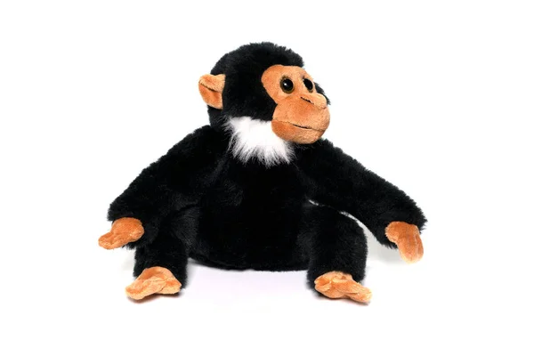 Macaco de brinquedo de pelúcia isolado no branco. — Fotografia de Stock