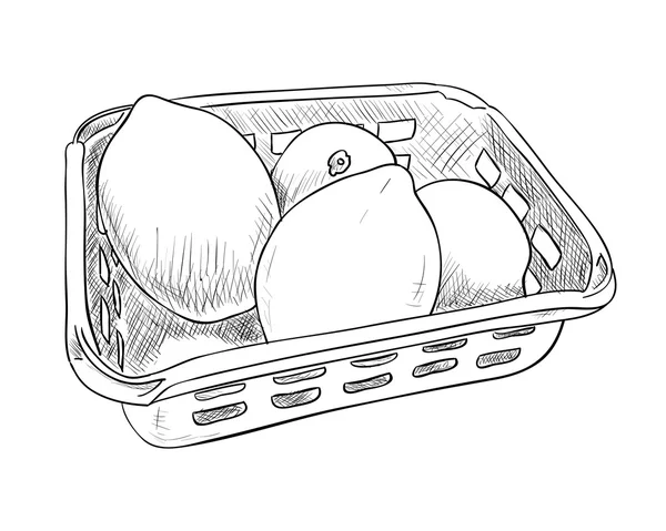 Boceto de contenedor de plástico con limones . — Vector de stock