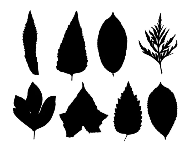 Collection of black silhouettes of leaves — Stock Vector