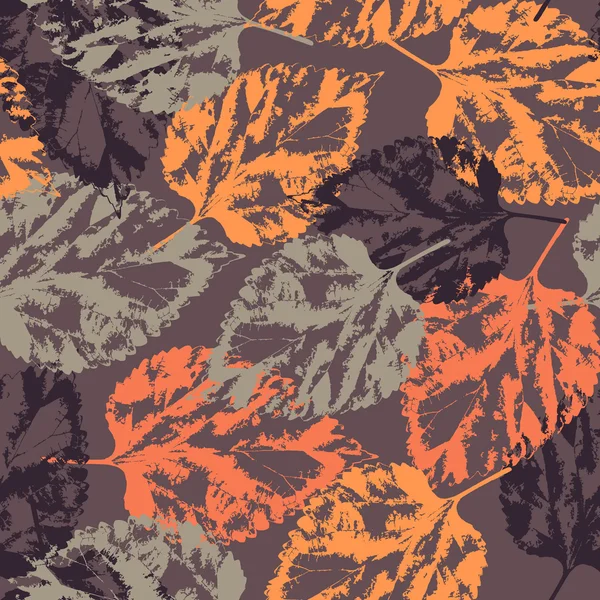 落下的叶子图案 — 图库矢量图片