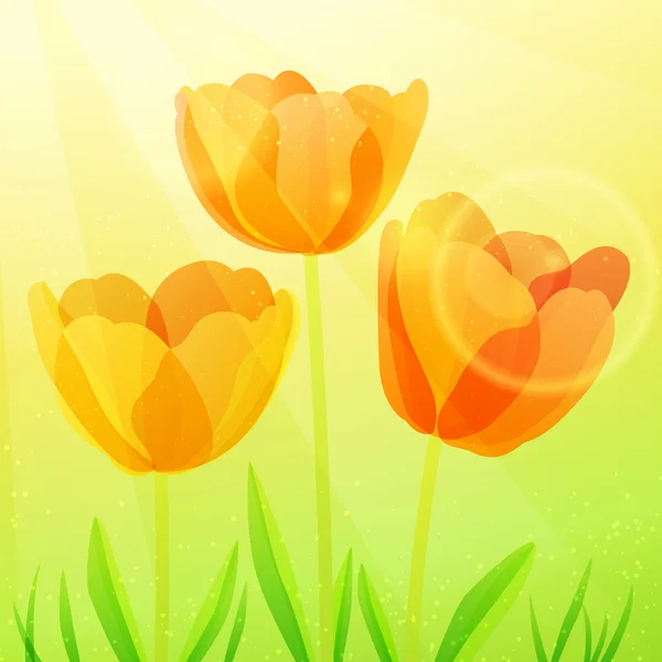 Three bright tulips — Stock Vector