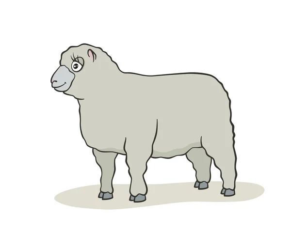Cute owiec kreskówki. — Wektor stockowy