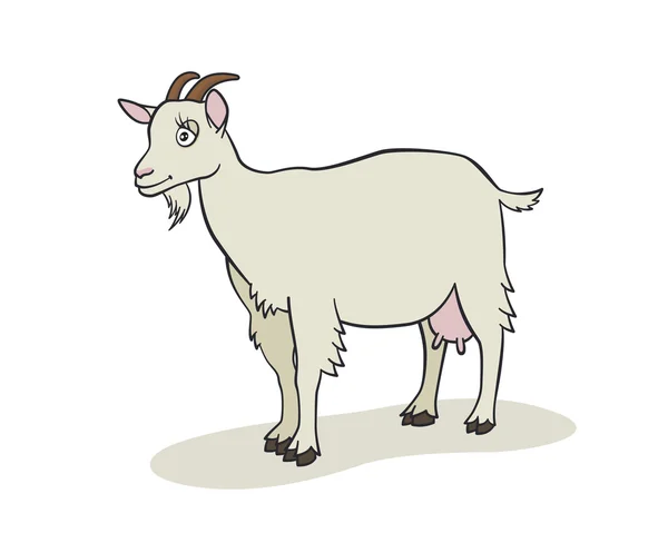 Kartun kambing yang lucu - Stok Vektor