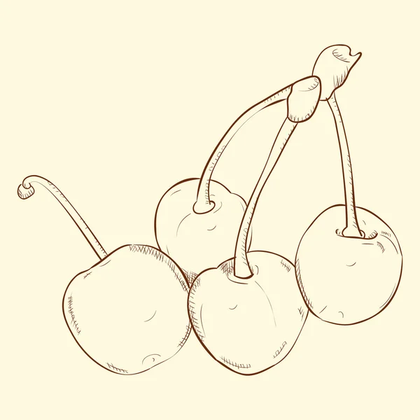 Sketch hand drawn of cherries — Stock Vector