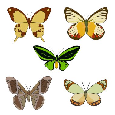 renkli doodle kelebekler