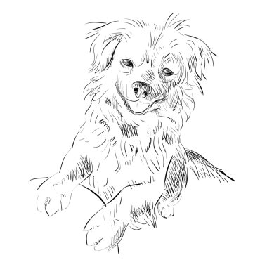 sevimli köpek taslağını