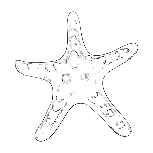 Overzicht schets voor starfish — Stockvector