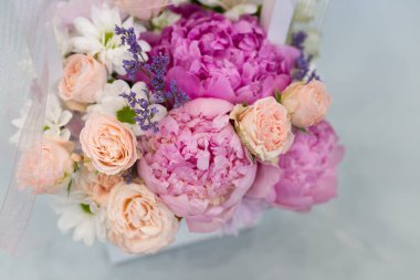 Narin şakayık çiçekleri ve diğer çiçekleri hafif bir arkaplanda düzenler..