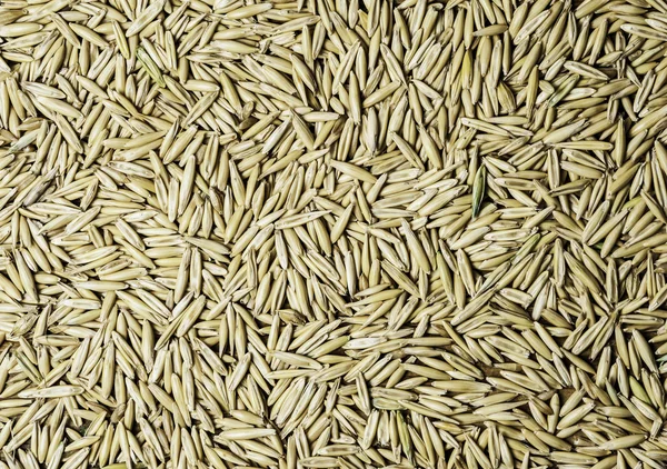 Arka plan yatay biçimde doğal yulaf taneleri