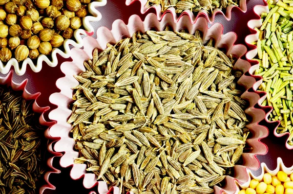 Dry different spices for cooking — Stock Photo, Image