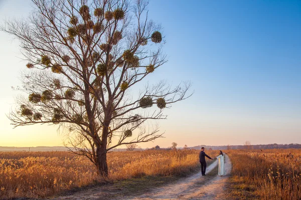 Casal jovem desfrutando de momentos românticos e caminhando — Fotografia de Stock