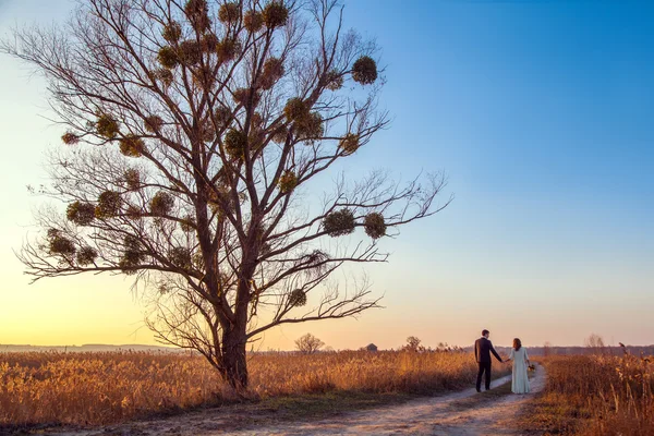 Young wedding couple enjoying romantic moments and walking — Stock Photo, Image