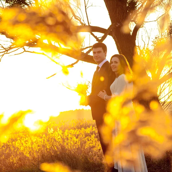 Casal jovem desfrutando de momentos românticos e caminhando — Fotografia de Stock