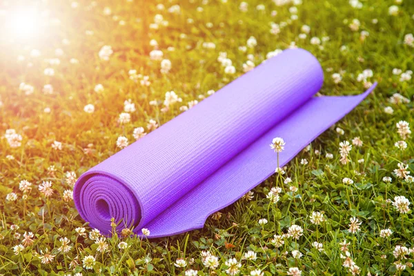 Stuoia viola di esercitazione di yoga sull'erba verde — Foto Stock