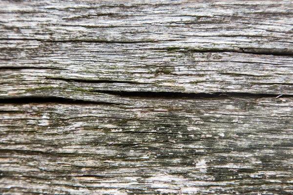 Textura de madeira com padrão de natureza — Fotografia de Stock