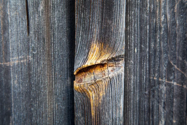 Textura de madeira com padrão de natureza — Fotografia de Stock