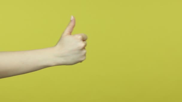 服装侧面观察女性的手与指甲显示大拇指向上 像手势 认可和推荐 满意的服务 在黄色背景下隔离的室内拍摄 — 图库视频影像