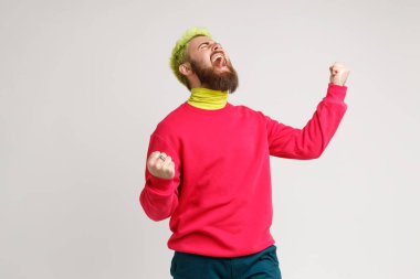 Heyecanlı yüz ifadesiyle neşeli sakallı adamın portresi, yumruklarını kaldırması, çığlık atması, bağırması, evet, kırmızı kazak giymesi, zaferini kutlaması, başarı. Gri arka planda izole edilmiş kapalı stüdyo görüntüleri