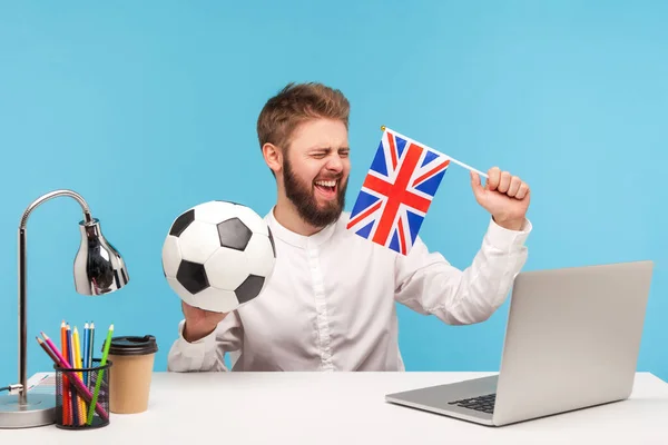 Cheerful bearded man football fan holding flag of great britain and classic soccer ball, sitting at workplace with laptop and watching match. Indoor studio shot isolated on blue background