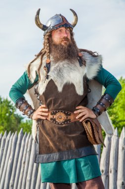 Viking in his territory