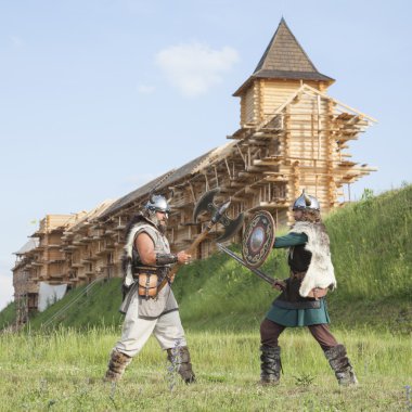 War between vikings