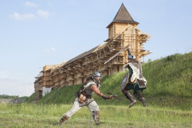 War between vikings