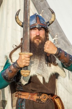 Strong viking with his sword