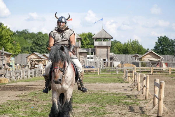 The Viking is take care of his territory — Stock Photo, Image