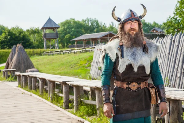 Viking in his territory — Stock Photo, Image