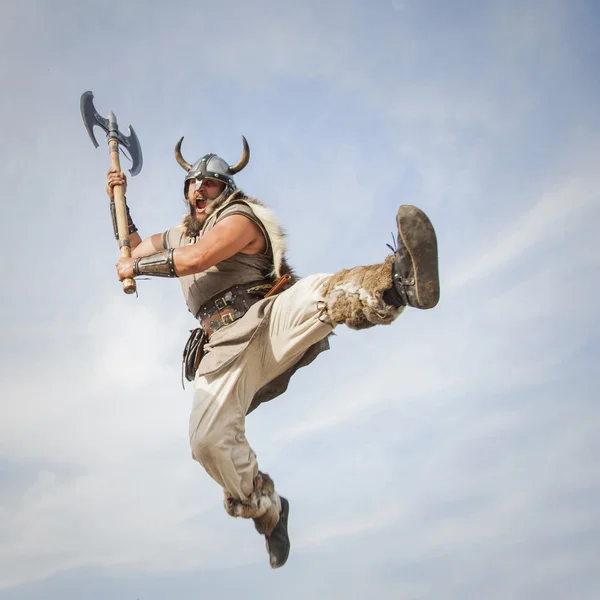 Vikings attack from sky