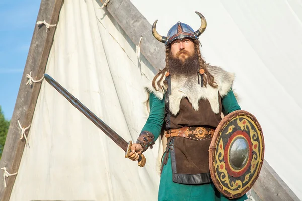 Strong viking is defending near his territory — Stock Fotó