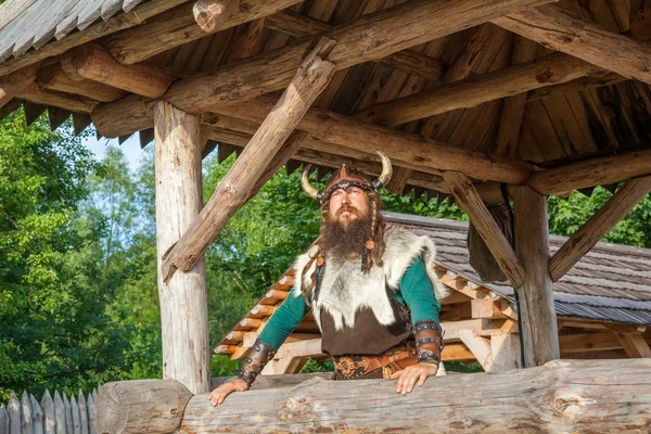 Viking in his house territory — Stockfoto