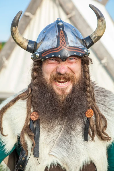 Den sinte vikingen stockbilde