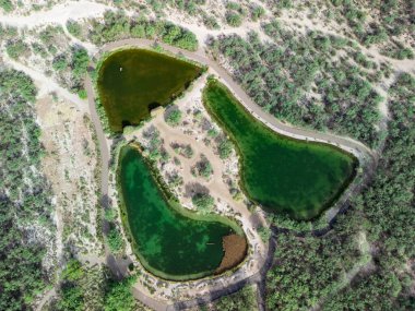 Tucson, Arizona, ABD - 6 Ağustos 2025: Çöldeki vaha parkında yemyeşil bitki örtüsü ve dolambaçlı yollarla çevrili birbirine bağlı sıcak bahar havuzlarının havadan görünüşü