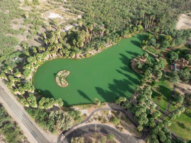 Agua Caliente Bölge Parkı 'nın havadan görünüşü, palmiyelerle kaplı büyük yeşil gölet ve yüksek palmiyelerin oluşturduğu yeşil ada gölgelerini gösteriyor.