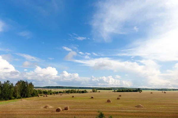 Fältet under himlen med höbalar — Stockfoto