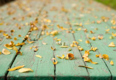 Yeşil tablo yapraklarda