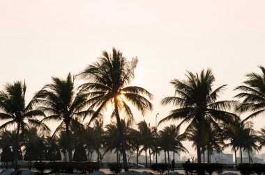 Danang, Vietnam olarak Beach görüntülemek