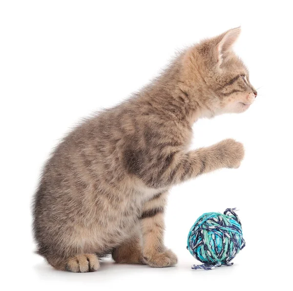 Pequeno Gatinho Brincando Com Uma Bola Fio Isolado Fundo Branco — Fotografia de Stock