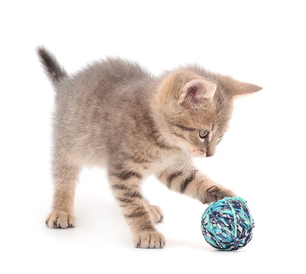 Pequeno Gatinho Brincando Com Uma Bola Fio Isolado Fundo Branco — Fotografia de Stock