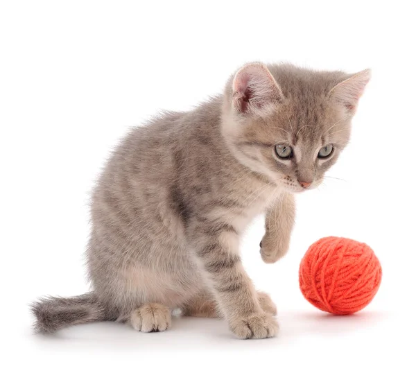 Pequeño Gatito Jugando Con Una Bola Hilo Aislado Sobre Fondo —  Fotos de Stock